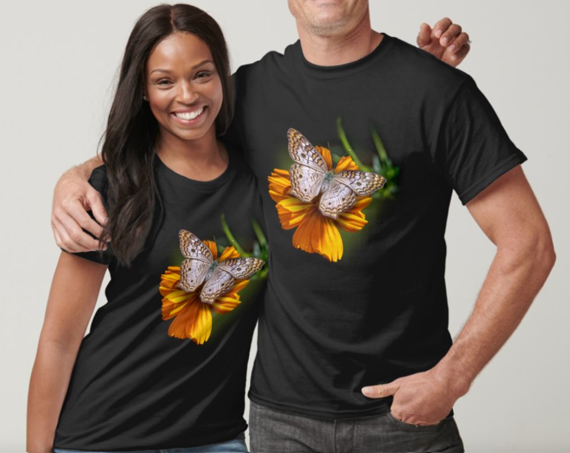 Butterfly on orange flower